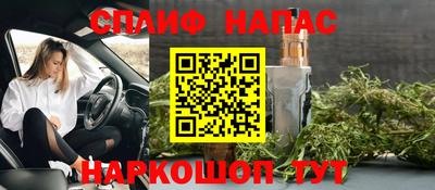 прущие грибы Кинель