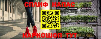 прущие грибы Кинель