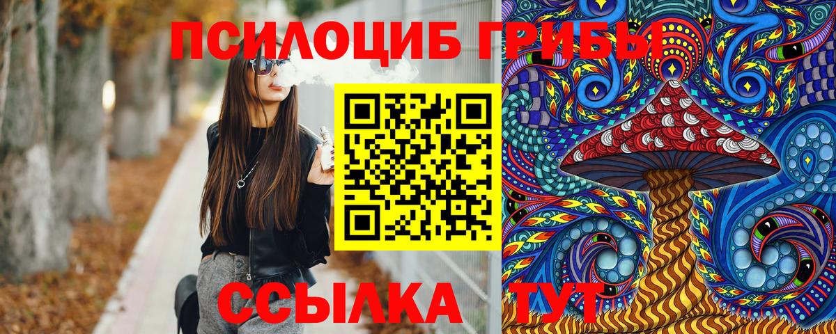 Коркино  Псилоцибиновые грибы мицелий  Вход с VPN 